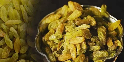 تصویر 1 از قیمت خرید کشمش سبز با کیفیت ارزان + فروش عمده